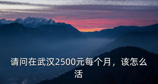 請(qǐng)問(wèn)在武漢2500元每個(gè)月，該怎么活