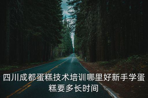 成都新東方學蛋糕在哪里,成都哪里有學習蛋糕的地方