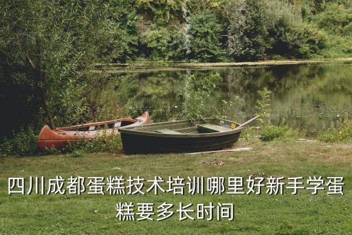 四川學蛋糕哪里比較好,翻糖蛋糕去哪里學比較好