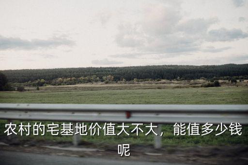湖南安徽蛙人價格價值多少錢,大清戶部中間皖字價格多少錢