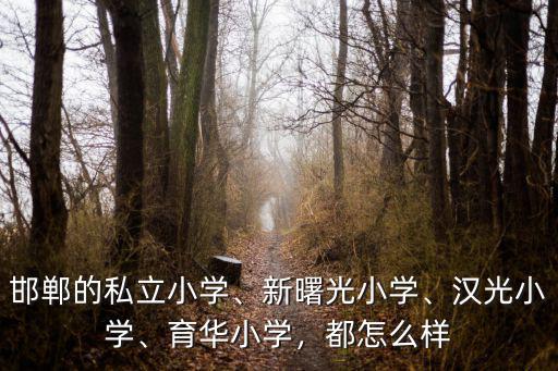 邯鄲的私立小學、新曙光小學、漢光小學、育華小學，都怎么樣