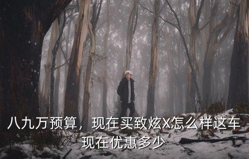 八九萬預(yù)算，現(xiàn)在買致炫X怎么樣這車現(xiàn)在優(yōu)惠多少