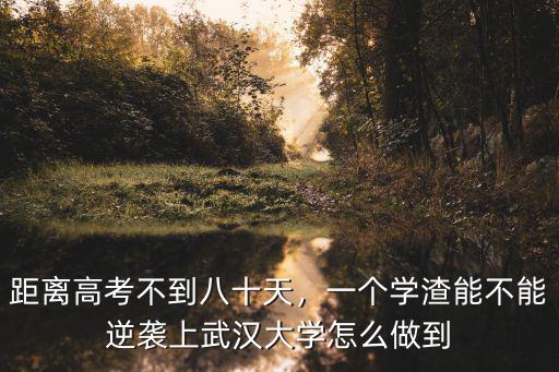 武漢大學(xué)的大小循環(huán)怎么做,什么是大循環(huán)