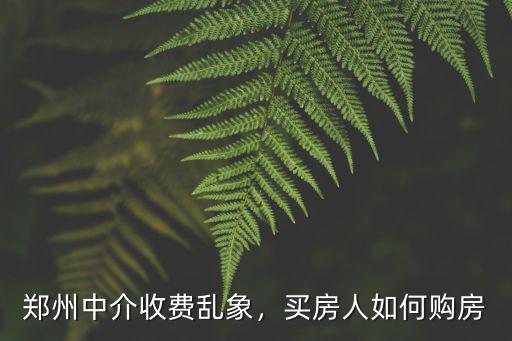 鄭州中介收費亂象，買房人如何購房