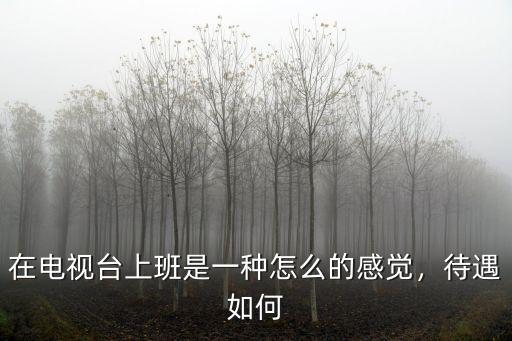 湖北廣水電視臺上班怎么樣,縣級電視臺待遇怎么樣