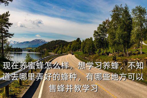 四川哪里有學(xué)養(yǎng)蜜蜂的學(xué)校,去哪里學(xué)養(yǎng)蜜蜂技朮