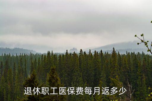 邯鄲退休人員醫保每月返多少錢,退休職工醫保費每月返多少