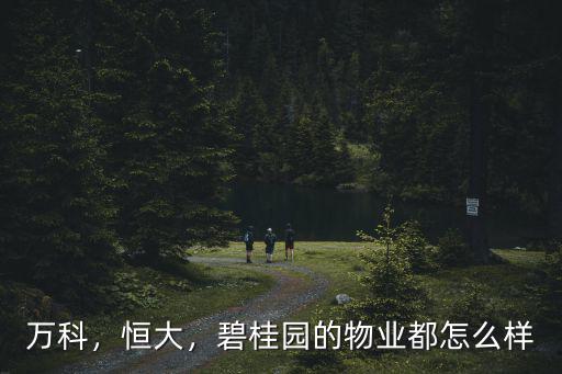 萬科，恒大，碧桂園的物業都怎么樣