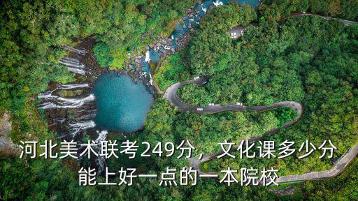 河北美術聯考249分，文化課多少分能上好一點的一本院校