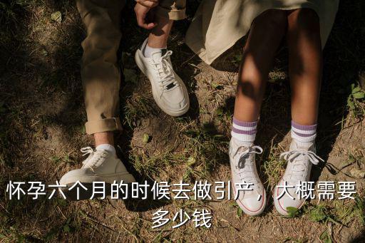 在宣城引產(chǎn)需要花多少錢,大概需要多少錢