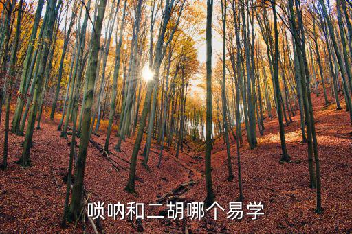 雅安二胡學(xué)會(huì)在哪里,哪里可以學(xué)二胡