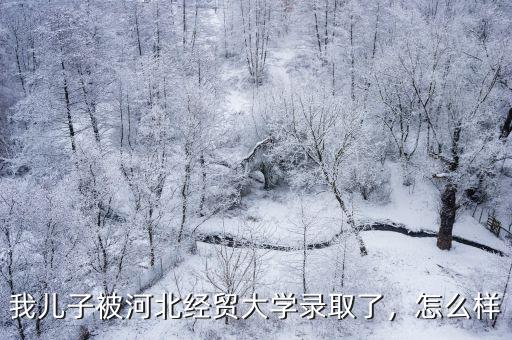 河北經(jīng)貿(mào)大學(xué)學(xué)號多少位,河北經(jīng)貿(mào)大學(xué)怎么樣