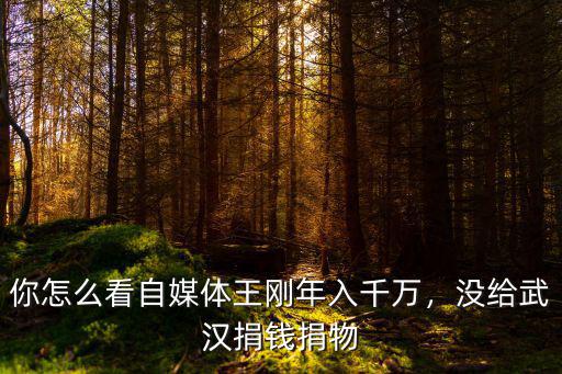 頭條號怎么捐錢給武漢,沒給武漢捐錢捐物