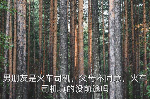湖北籍火車司機怎么樣了,火車司機這一職業怎么樣