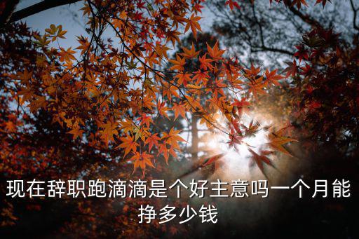 現在辭職跑滴滴是個好主意嗎一個月能掙多少錢