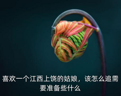 喜歡一個江西上饒的姑娘，該怎么追需要準備些什么