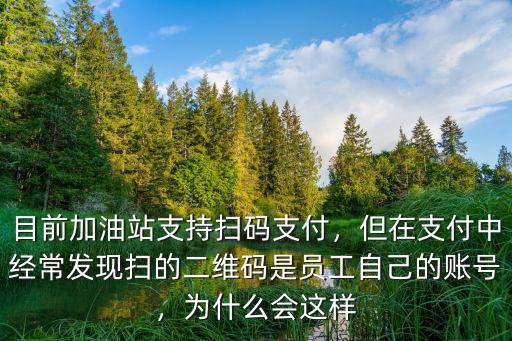 河南地區(qū)加油站掃碼支付怎么舉報(bào),目前加油站支持掃碼支付