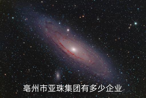 亳州市亞珠集團(tuán)有多少企業(yè)