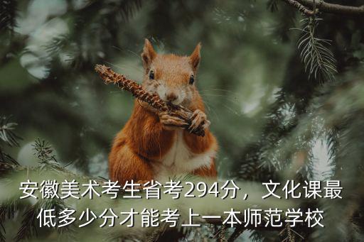 2018安徽美術省考總分多少分,安徽美術生省考276分