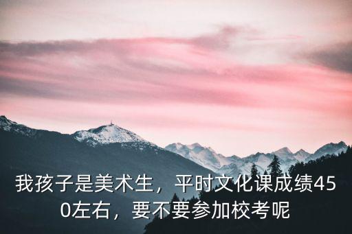 我孩子是美術生，平時文化課成績450左右，要不要參加校考呢