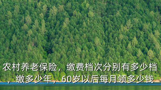 河北省農(nóng)民養(yǎng)老保險是多少錢啊,農(nóng)村養(yǎng)老保險