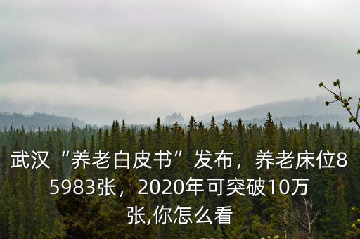 武漢“養(yǎng)老白皮書”發(fā)布，養(yǎng)老床位85983張，2020年可突破10萬張,你怎么看
