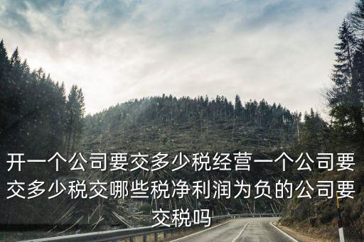 河北地區(qū)公司一年多少稅,開一個公司要交多少稅