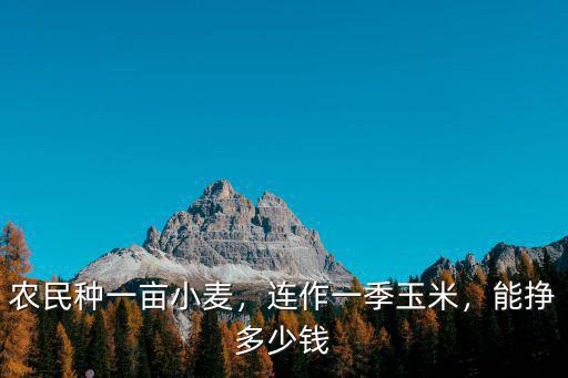 農(nóng)民種一畝小麥，連作一季玉米，能掙多少錢