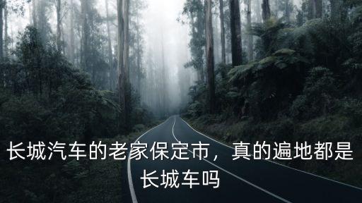 長城汽車的老家保定市，真的遍地都是長城車嗎