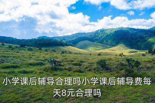 鶴壁小學(xué)課后輔導(dǎo)一個(gè)學(xué)期多少錢,小學(xué)課后輔導(dǎo)合理嗎
