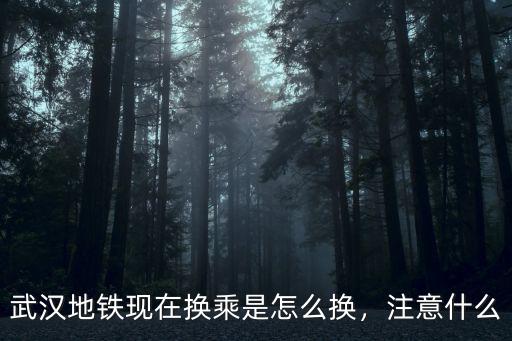 在武漢站怎么站內換乘,武漢火車站站內要如何換乘