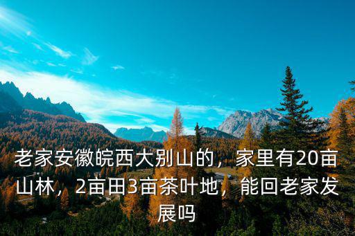老家安徽皖西大別山的，家里有20畝山林，2畝田3畝茶葉地，能回老家發展嗎