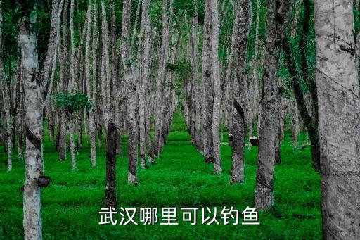 武漢漢江九月怎么釣魚,武漢漢江釣魚春季用什么餌料