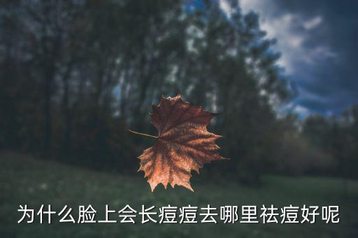 內江哪里治痘痘好,為什么臉上會長痘痘