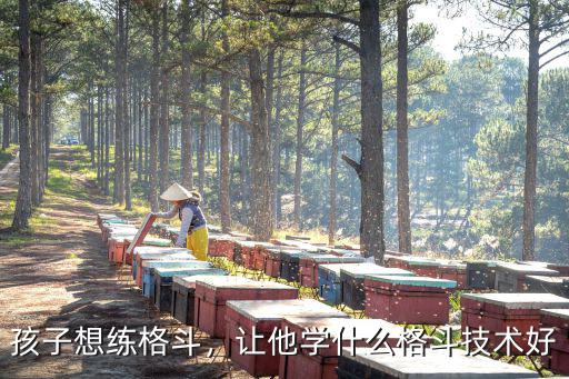 孩子想練格斗，讓他學什么格斗技術好