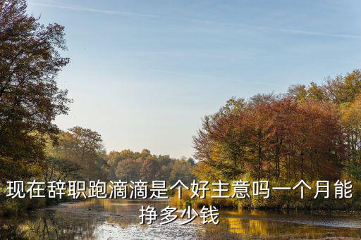 合肥跑滴滴一個(gè)月能搞多少錢,現(xiàn)在辭職跑滴滴是個(gè)好主意嗎