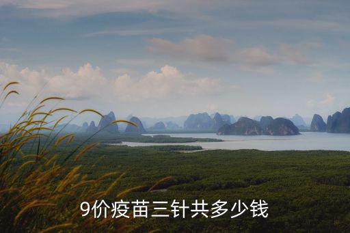 九價疫苗多少錢三針石家莊,9價疫苗多少錢