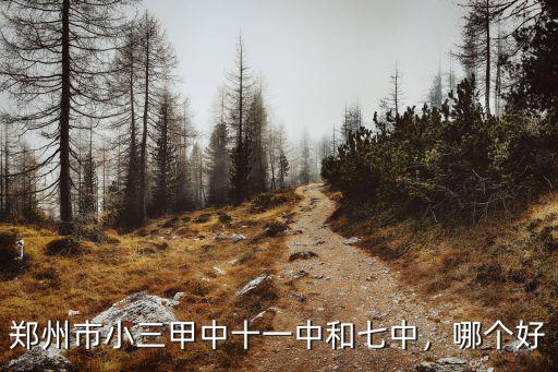 鄭州市小三甲中十一中和七中，哪個好