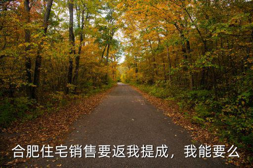 合肥要賬提成多少,合肥住宅銷售要返我提成