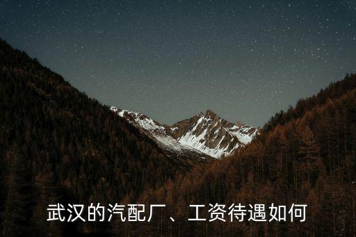 武漢源興汽配廠怎么樣,武漢東風(fēng)汽配廠待遇怎么樣