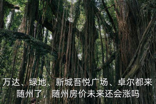 萬(wàn)達(dá)、綠地、新城吾悅廣場(chǎng)、卓爾都來(lái)隨州了，隨州房?jī)r(jià)未來(lái)還會(huì)漲嗎