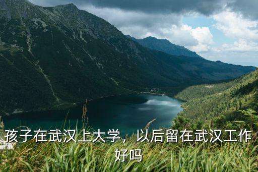 在武漢工作定居怎么樣,現(xiàn)在工作地點(diǎn)在武漢