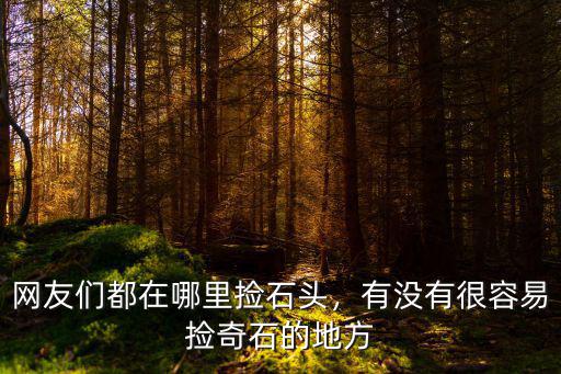 自貢哪里有奇石撿,怎樣的山才有奇石
