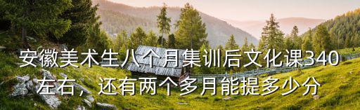 美術(shù)320分安徽排名多少錢,安徽美術(shù)統(tǒng)考成績(jī)272分