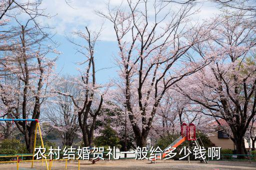 亳州酒店結婚得多少錢,農村結婚賀禮一般給多少錢啊