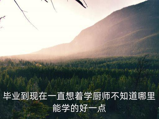 畢業(yè)到現(xiàn)在一直想著學(xué)廚師不知道哪里能學(xué)的好一點(diǎn)
