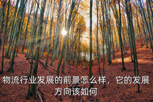 湖北捷世通物流怎么樣,今年物流行業(yè)怎么樣