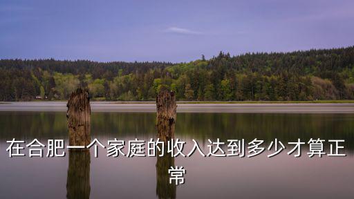 在合肥一個(gè)家庭的收入達(dá)到多少才算正常