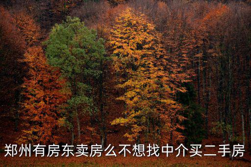 鄭州哪里中介少,鄭州中介收費亂象