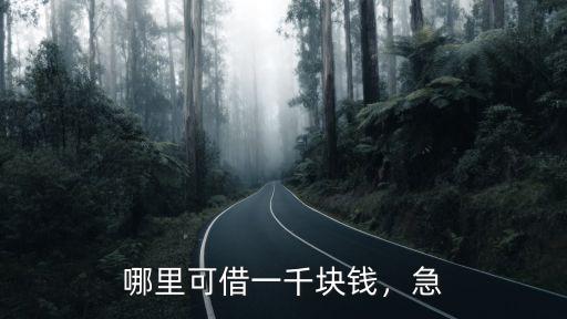 哪里可借一千塊錢，急